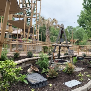 Tumbili Roller Coaster at Kings Dominion